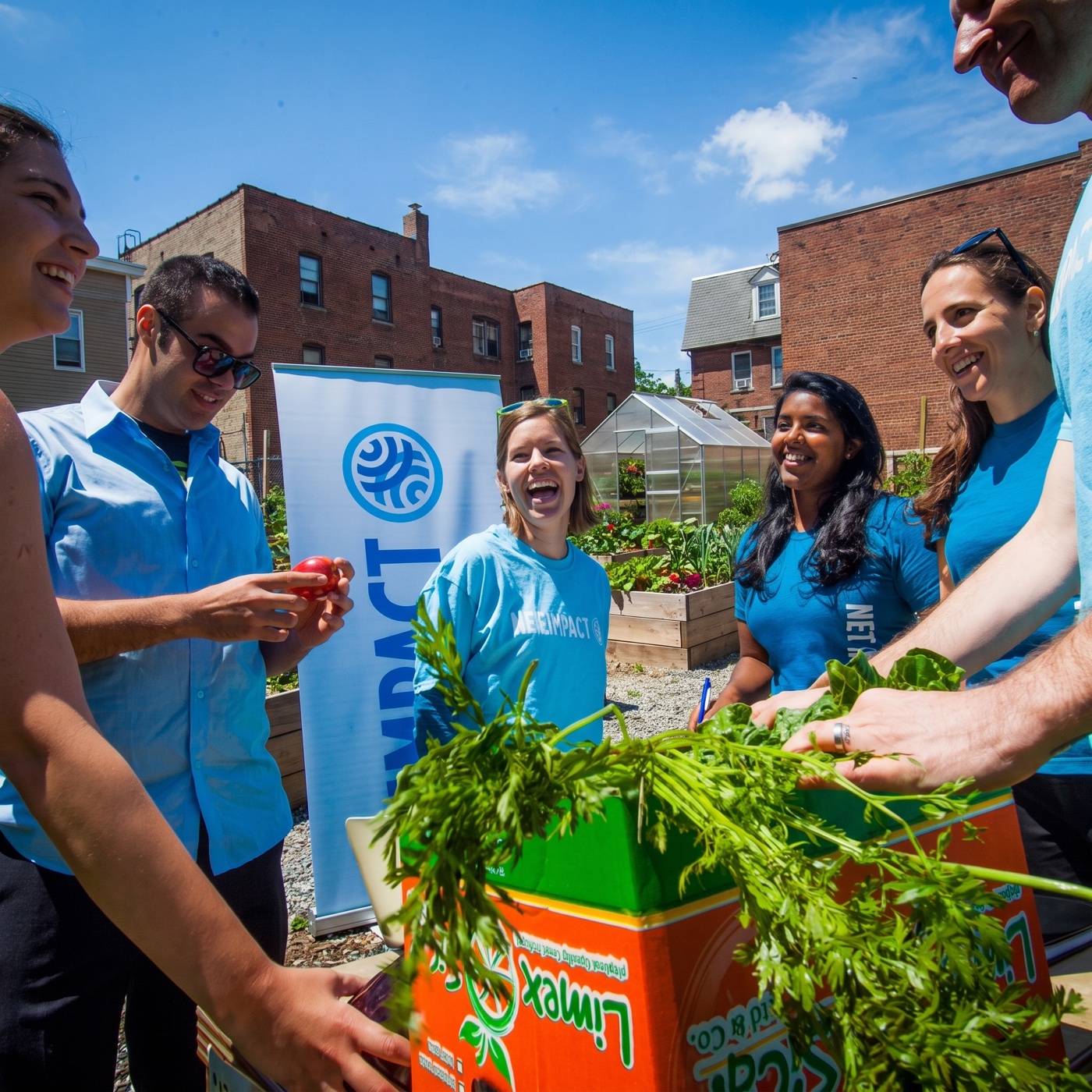 A nonprofit team gathered around a box of fresh produce in a community garden
